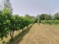 Foto Terreno agricolo in vendita a Dogana - Luni 1018 mq  Rif: 843761
