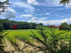Foto Terreno agricolo in vendita a Empoli