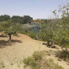 Foto Terreno agricolo in vendita a Enna