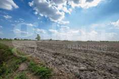 Foto Terreno agricolo in vendita a Este