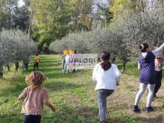 Foto Terreno agricolo in Vendita a Faenza Via Vernelli