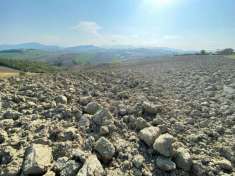 Foto Terreno agricolo in vendita a Falerone