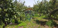 Foto Terreno agricolo in vendita a Fiumefreddo Di Sicilia