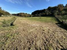 Foto Terreno agricolo in vendita a Fiumicino