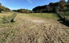 Foto Terreno agricolo in vendita a Fiumicino