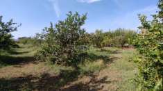 Foto Terreno agricolo in vendita a Floridia