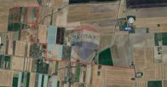 Foto Terreno agricolo in vendita a Foggia