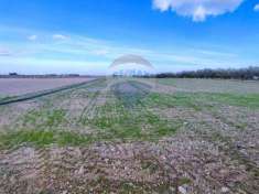 Foto Terreno agricolo in vendita a Foggia
