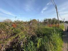 Foto Terreno agricolo in vendita a Fondi