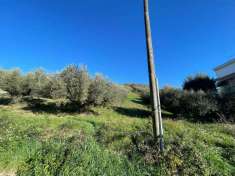 Foto Terreno agricolo in vendita a Fonte Nuova