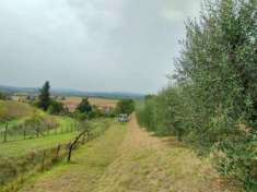 Foto Terreno agricolo in vendita a Forcoli - Palaia 3260 mq  Rif: 1193404