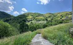 Foto Terreno agricolo in vendita a Foresto Sparso