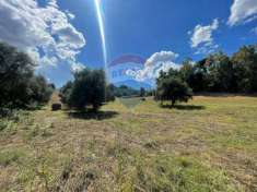 Foto Terreno agricolo in vendita a Formello