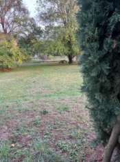 Foto Terreno agricolo in vendita a Fosdinovo 1300 mq  Rif: 1285228