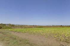 Foto Terreno agricolo in Vendita a Fossacesia