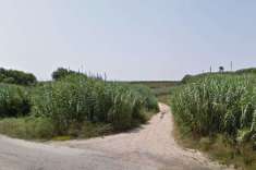 Foto Terreno agricolo in Vendita a Fossacesia