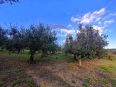 Foto Terreno agricolo in vendita a Francavilla Al Mare