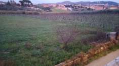 Foto Terreno agricolo in vendita a Frascati