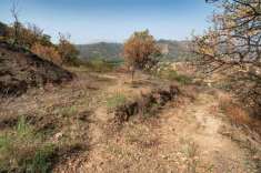 Foto Terreno agricolo in vendita a Gaggi