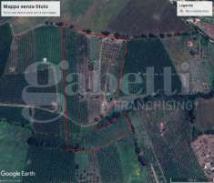 Foto Terreno agricolo in vendita a Gallese