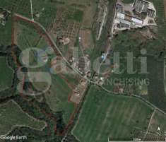 Foto Terreno agricolo in vendita a Gallese
