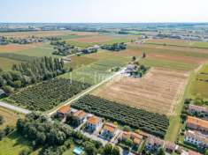 Foto Terreno agricolo in vendita a Galliera