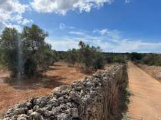 Foto Terreno agricolo in vendita a Gallipoli