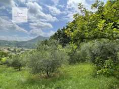 Foto Terreno agricolo in vendita a Galzignano Terme