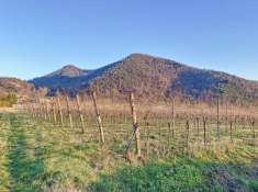 Foto Terreno agricolo in vendita a Galzignano Terme