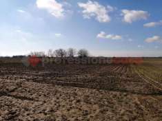 Foto Terreno agricolo in Vendita a Gazzo Veronese