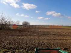 Foto Terreno agricolo in vendita a Gazzo Veronese