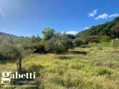 Foto Terreno agricolo in vendita a Gioiosa Marea