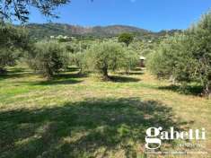 Foto Terreno agricolo in vendita a Gioiosa Marea