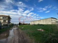 Foto Terreno agricolo in vendita a Giugliano In Campania