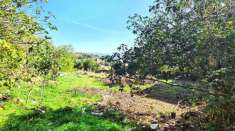 Foto Terreno agricolo in vendita a Godrano