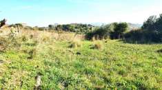 Foto Terreno agricolo in vendita a Godrano