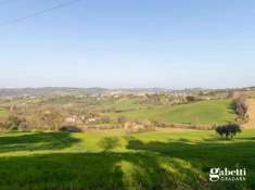 Foto Terreno agricolo in vendita a Gradara