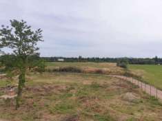 Foto Terreno agricolo in vendita a Grosseto