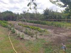 Foto Terreno agricolo in vendita a Grosseto