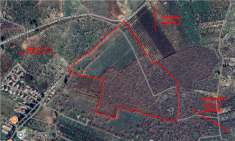 Foto Terreno agricolo in vendita a Grumo Appula