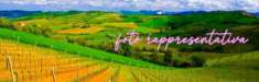 Foto Terreno agricolo in vendita a Imola