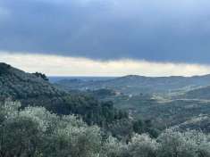 Foto Terreno agricolo in vendita a Imperia