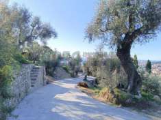 Foto Terreno agricolo in vendita a Imperia