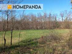 Foto Terreno agricolo in vendita a Inverigo