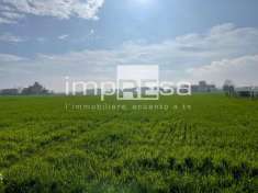 Foto Terreno agricolo in vendita a Jesolo