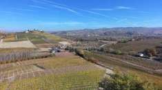 Foto Terreno agricolo in vendita a La Morra