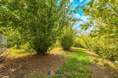 Foto Terreno agricolo in vendita a La Morra
