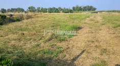 Foto Terreno agricolo in vendita a Ladispoli