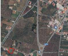 Foto Terreno agricolo in vendita a Lamezia Terme