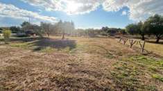 Foto Terreno agricolo in vendita a Lamezia Terme